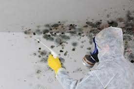 Best Comprehensive Air Testing for Mold Contaminants  in Oak Grove, AL